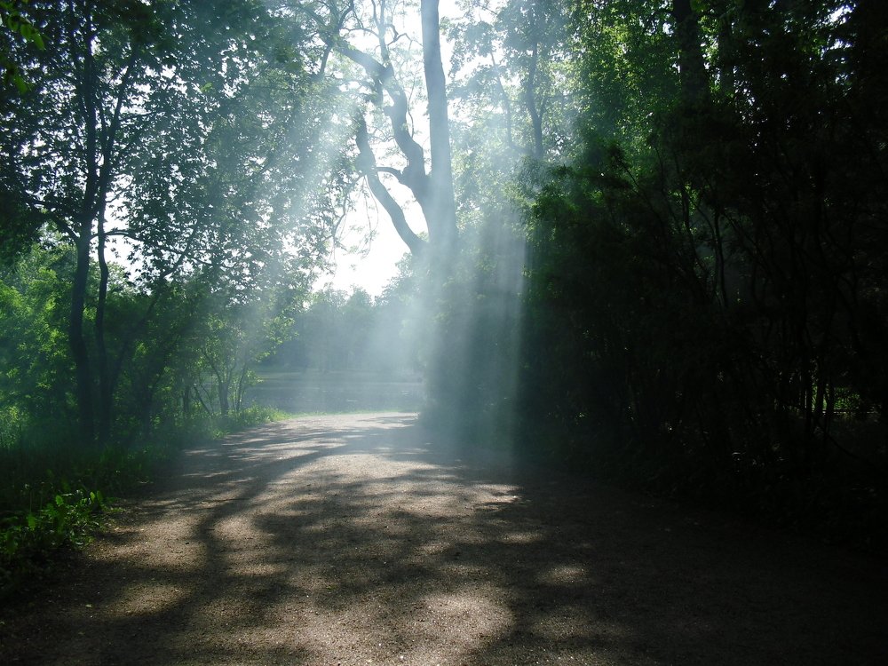 Photograph by Ольга Шевцова