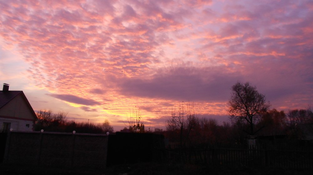 Photograph by Светлана Пивоварова