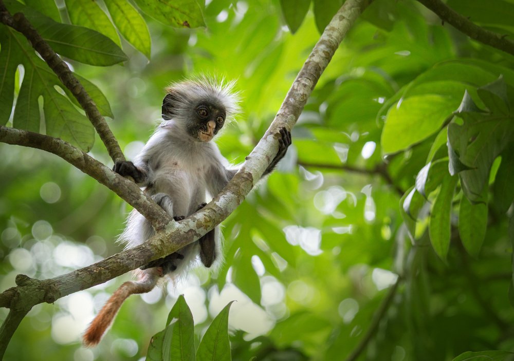 Photograph by Наталия Деркач