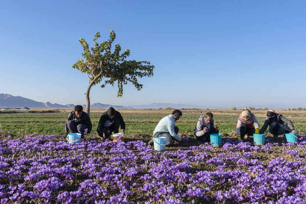 Photograph by  ali khavanin