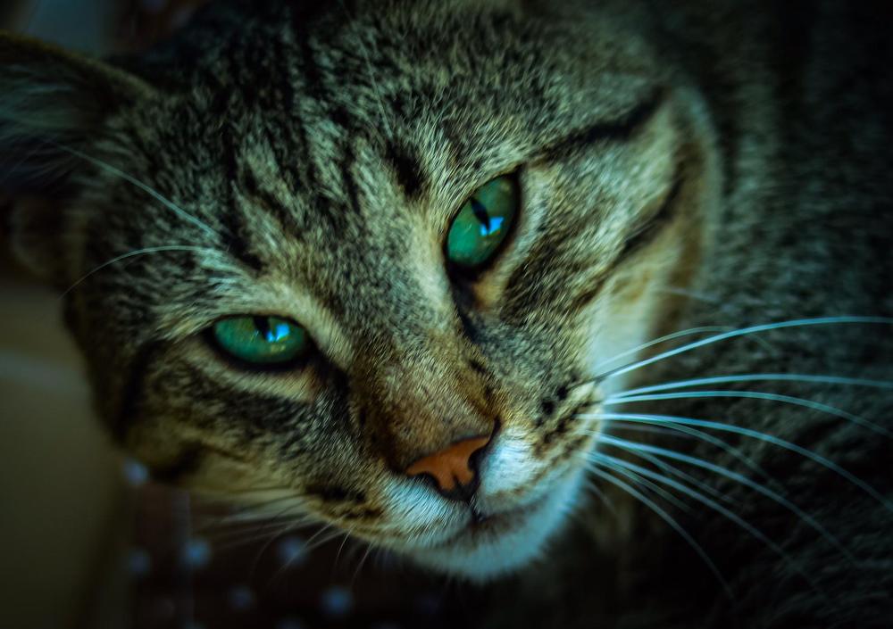 Photograph by Mona B