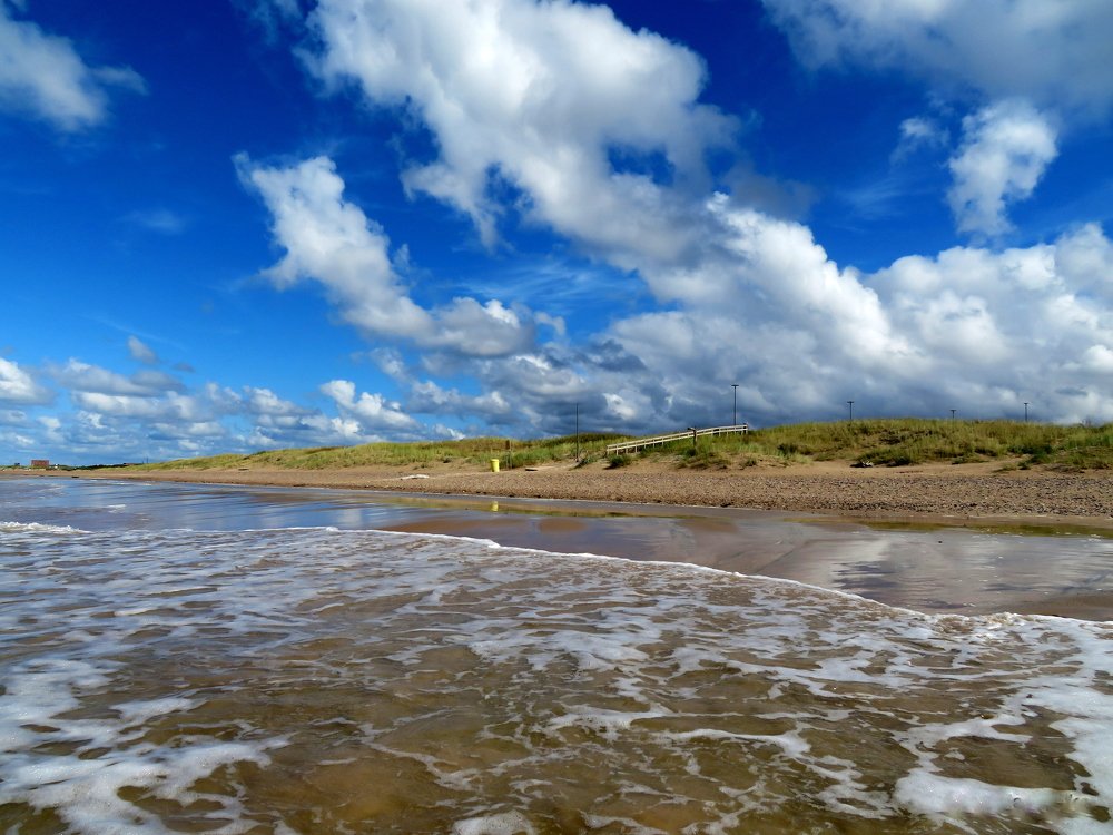 Фотография автора Ольга Завадилика