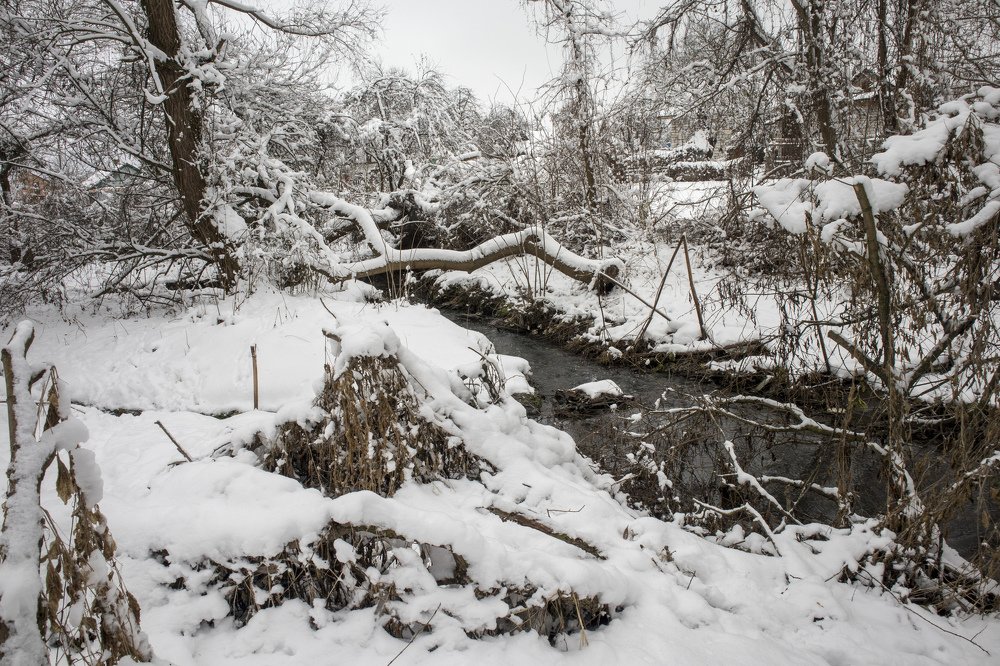 Photograph by Михаил Кобелюк