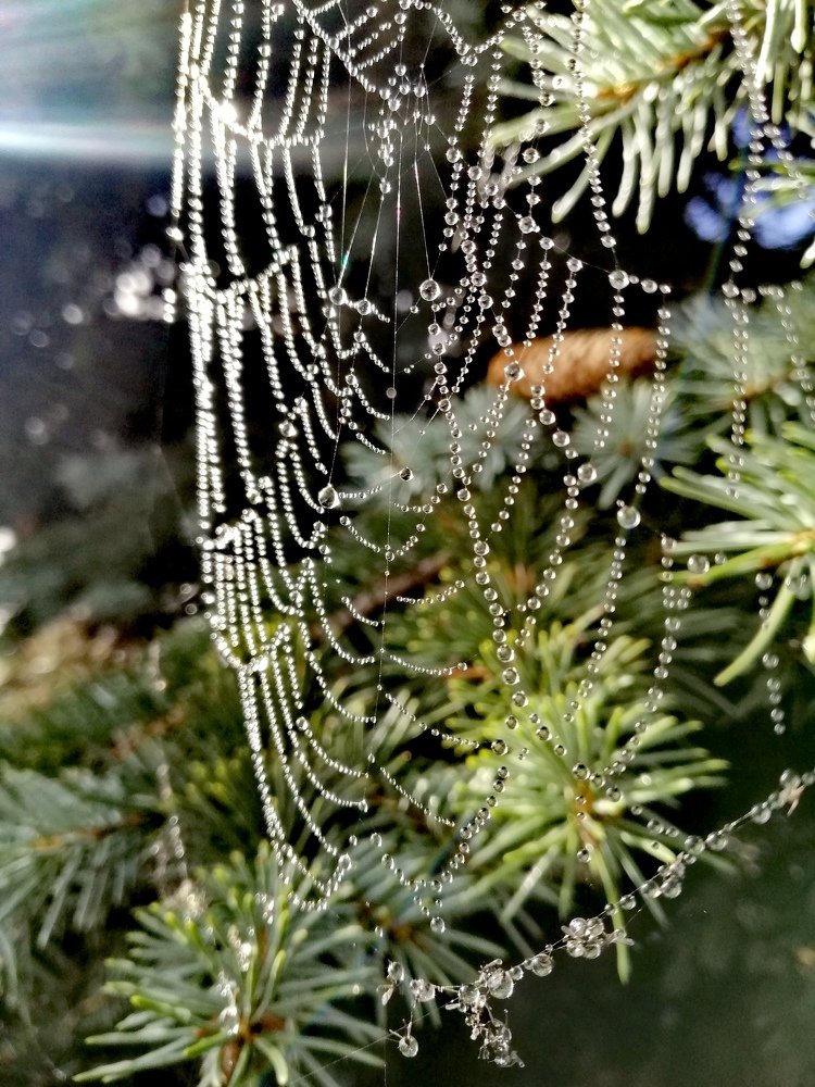 Photograph by Павел