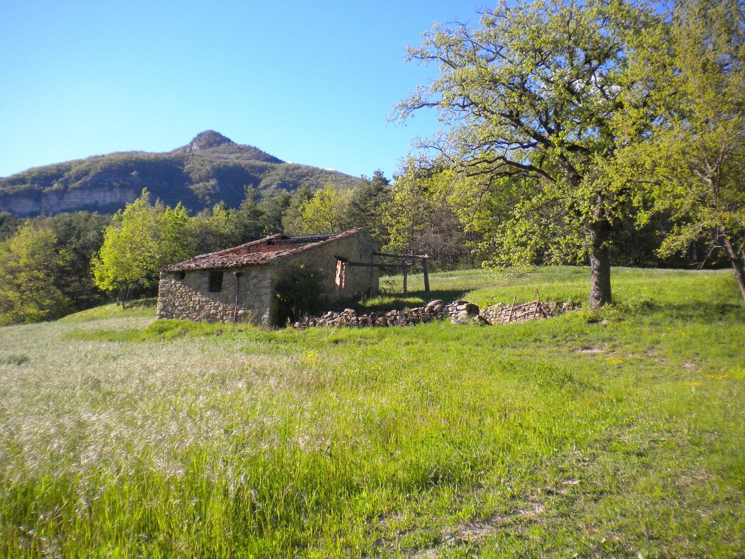 Photo #4172435