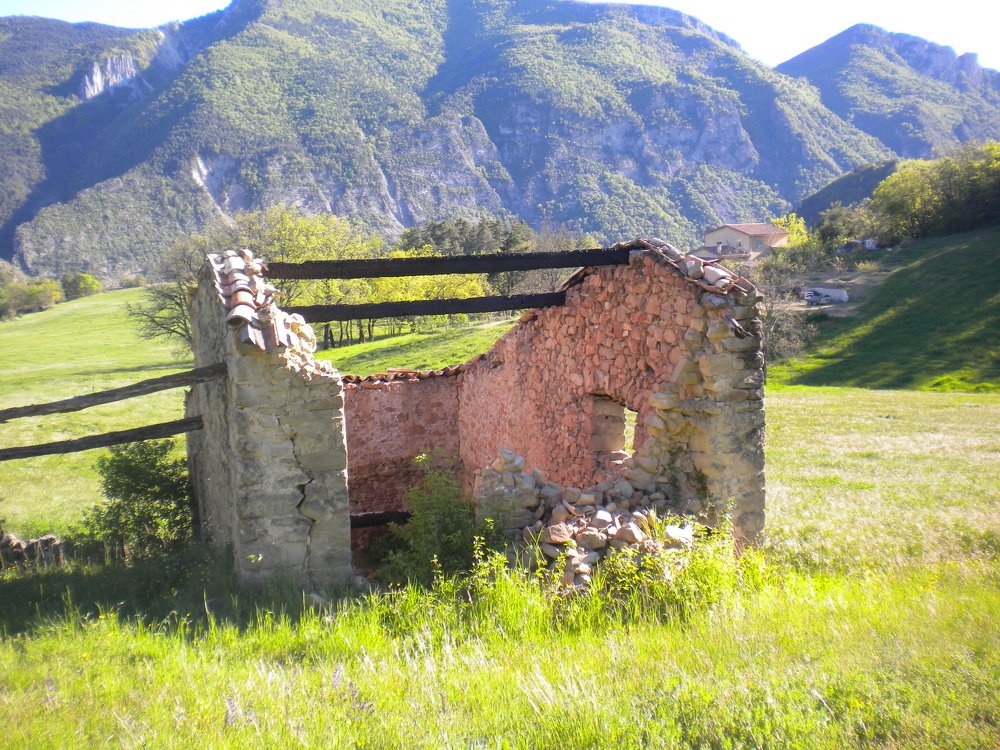 Photograph by 