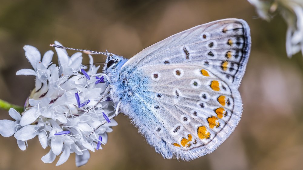 Photograph by Jucan Liviu