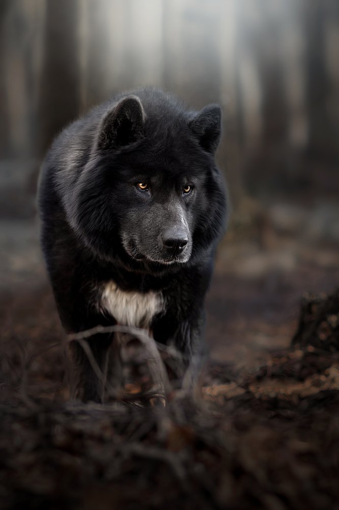 Photograph by Светлана Писарева