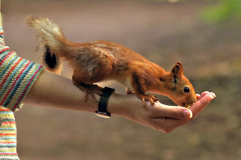 Photograph by Ольга Мендоса