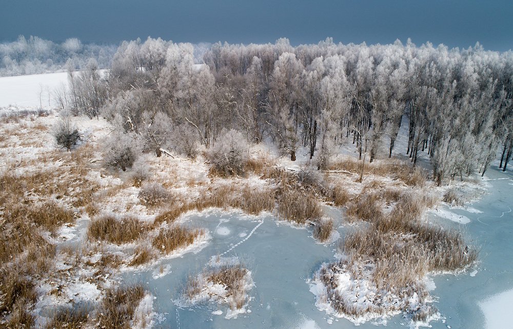 Фотография автора Budimir Jevtic