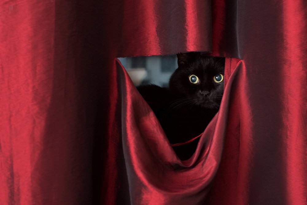 Фотография автора Елена Матросова