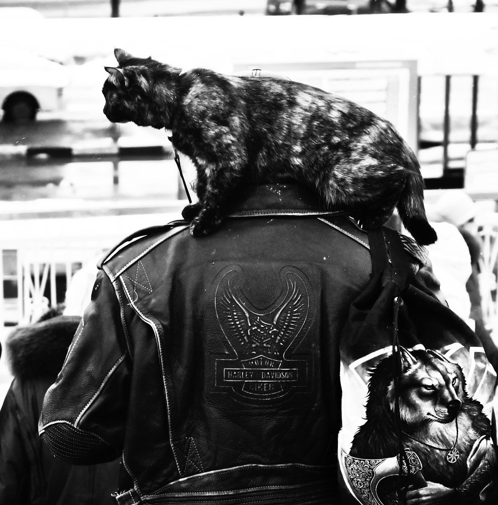 Photograph by Ольга Мендоса