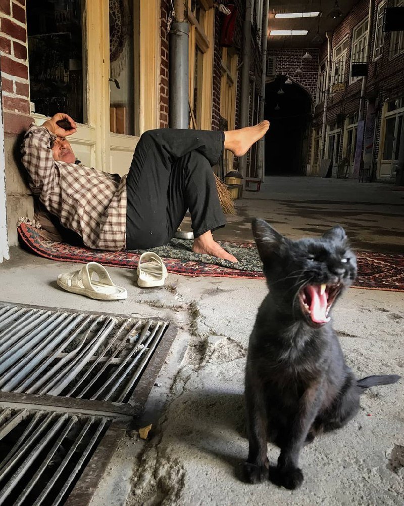 Photograph by Mina Noei