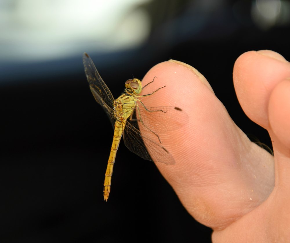 Photograph by Оксана Маракушина