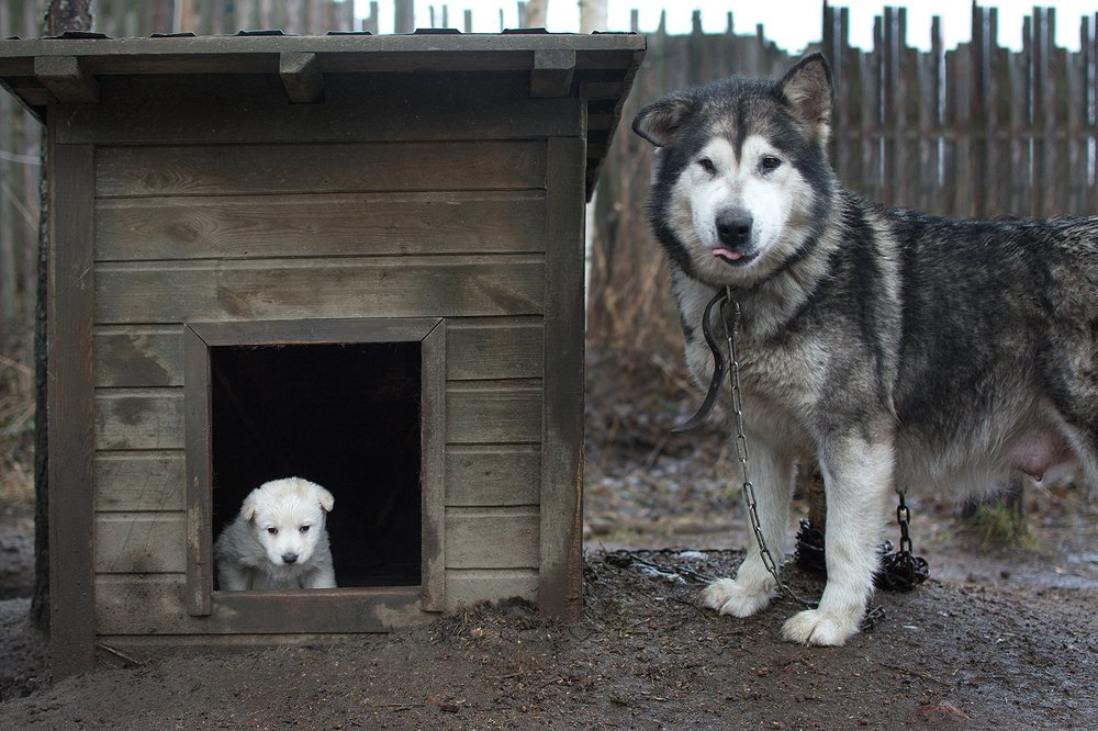 Милая дама с ребёнком