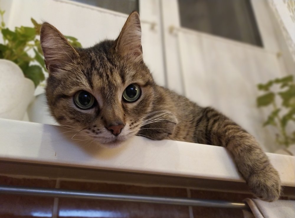 Photograph by Виктор Поверенов