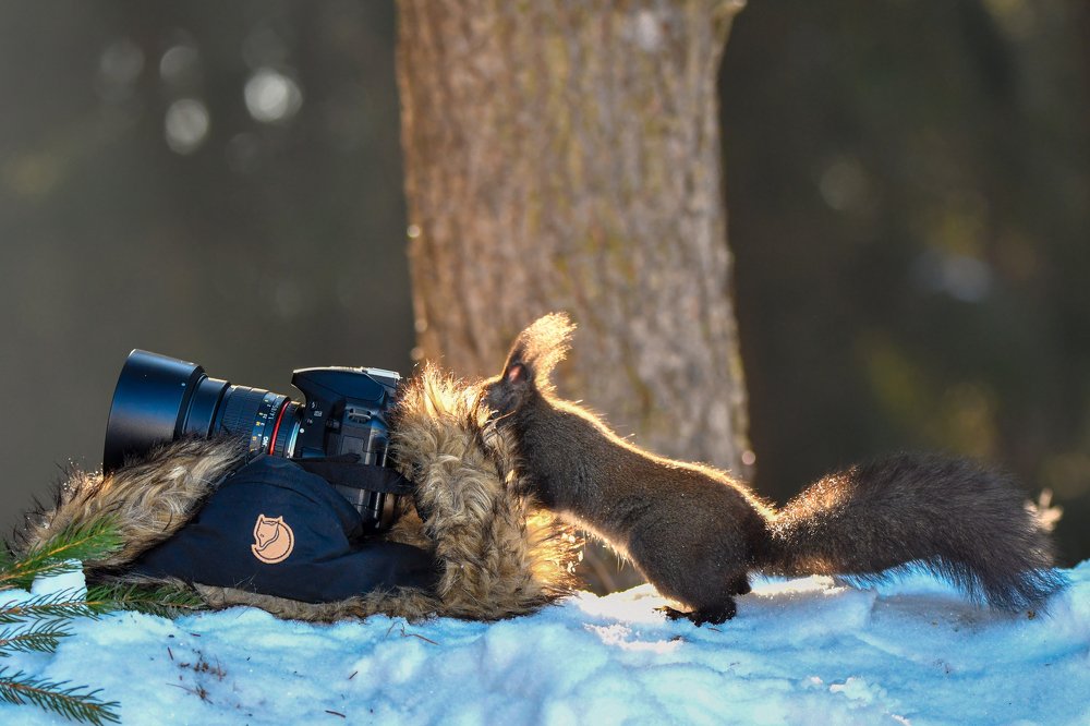 Photograph by Marian Badaluta