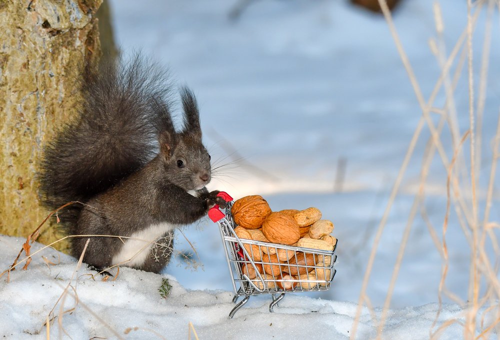 Photograph by Marian Badaluta