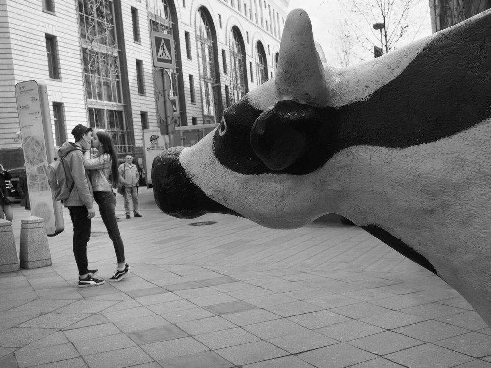 Photograph by Василий Чекорин