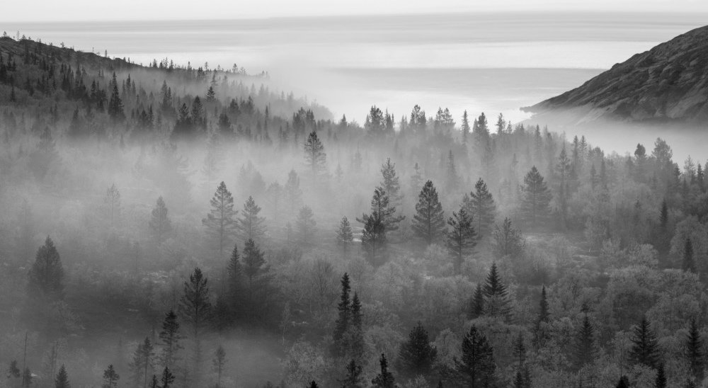 Photograph by Александр Авдушев