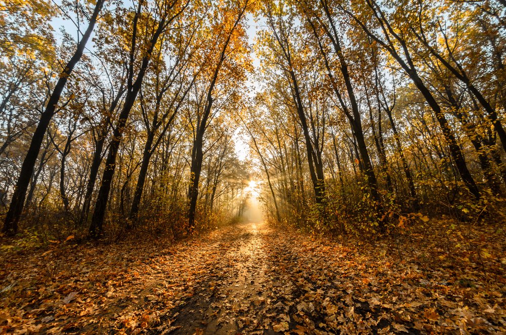 Дорога в рай