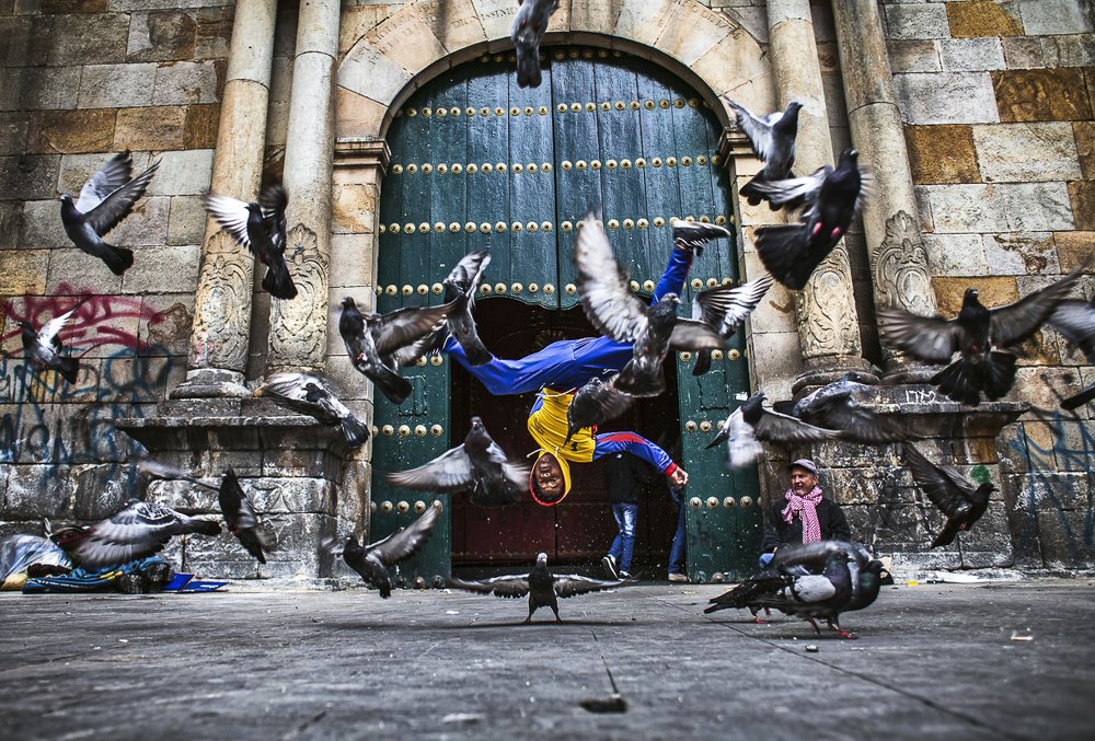 Alas de libertad en tiempos de guerra