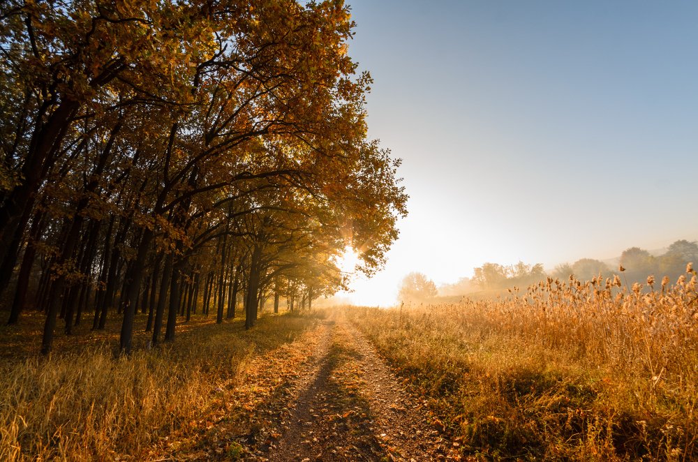 Photograph by Сергей Масленников