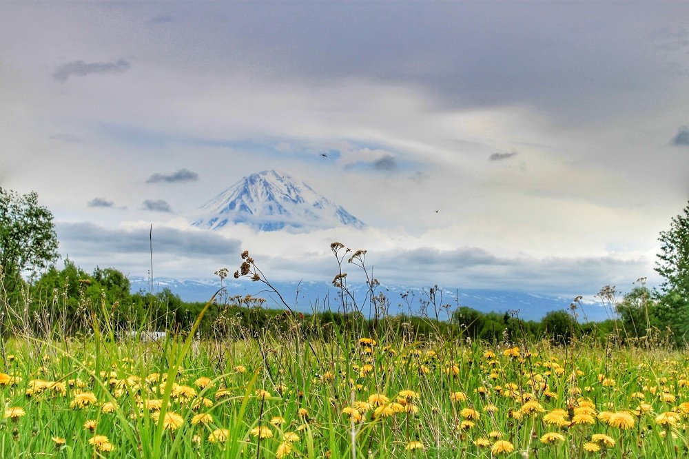 Photograph by Наина Касаева
