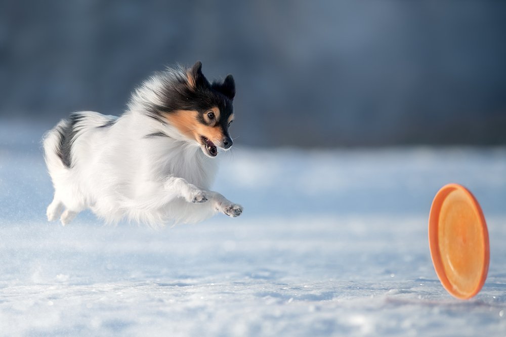 Photograph by Светлана Писарева