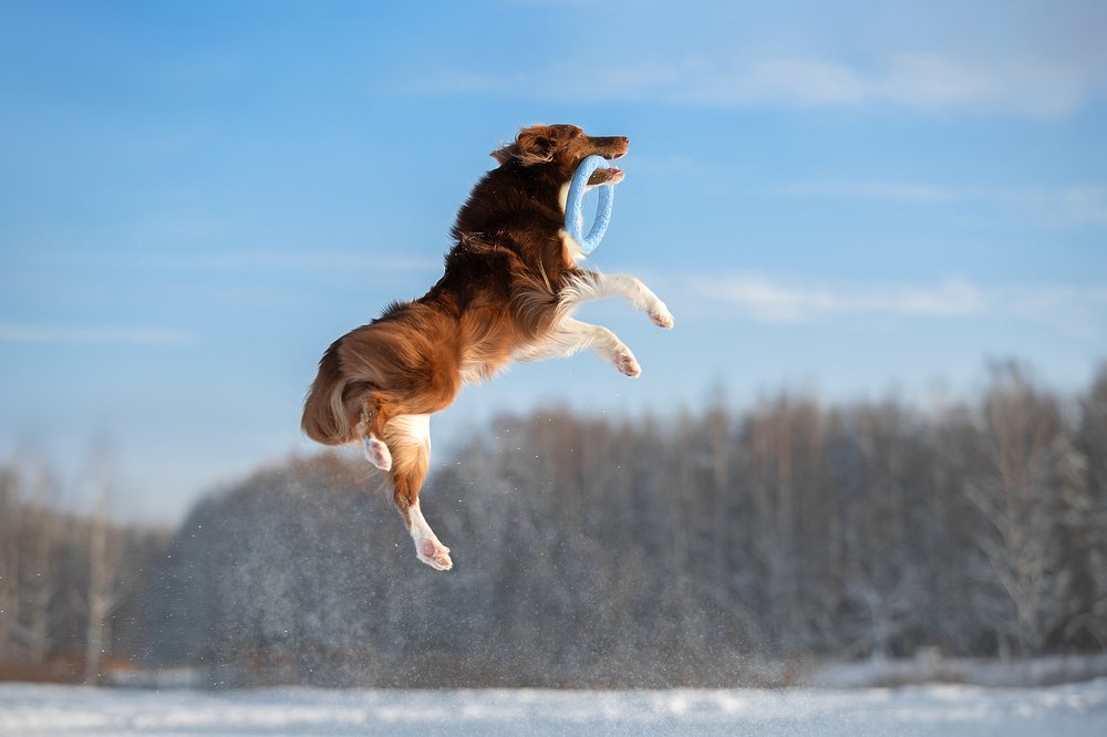 Photograph by Светлана Писарева