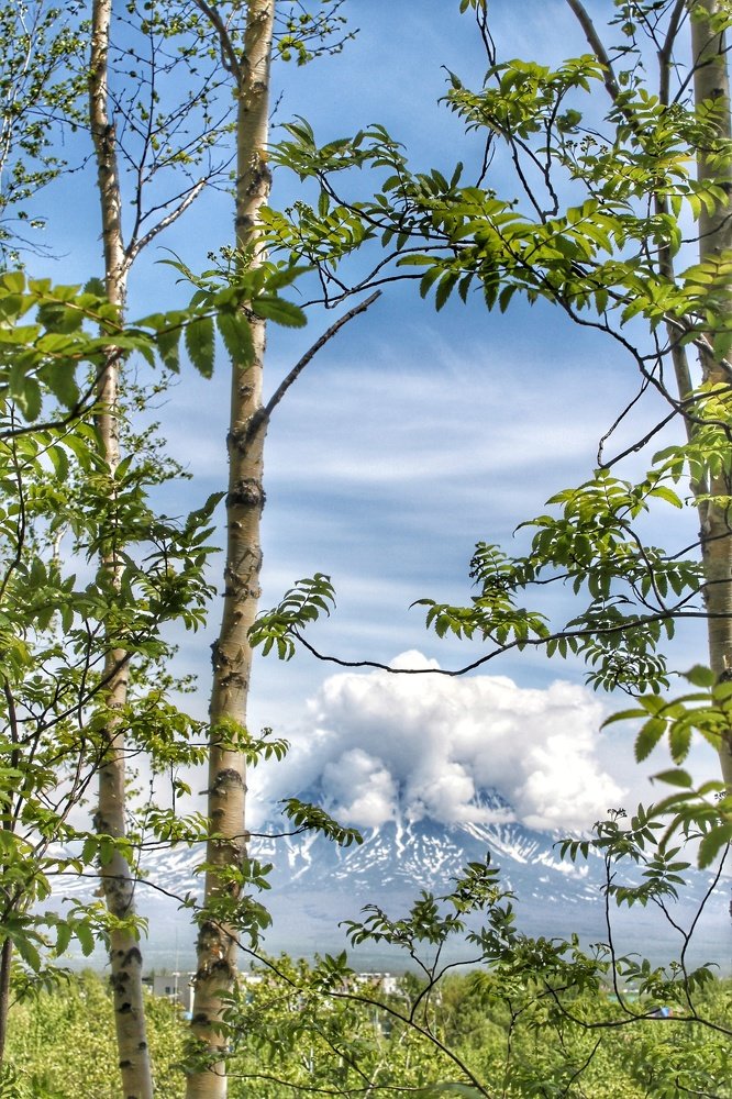 Photograph by Наина Касаева