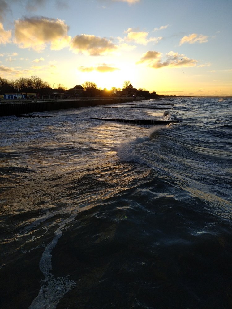 Photo #4172848
