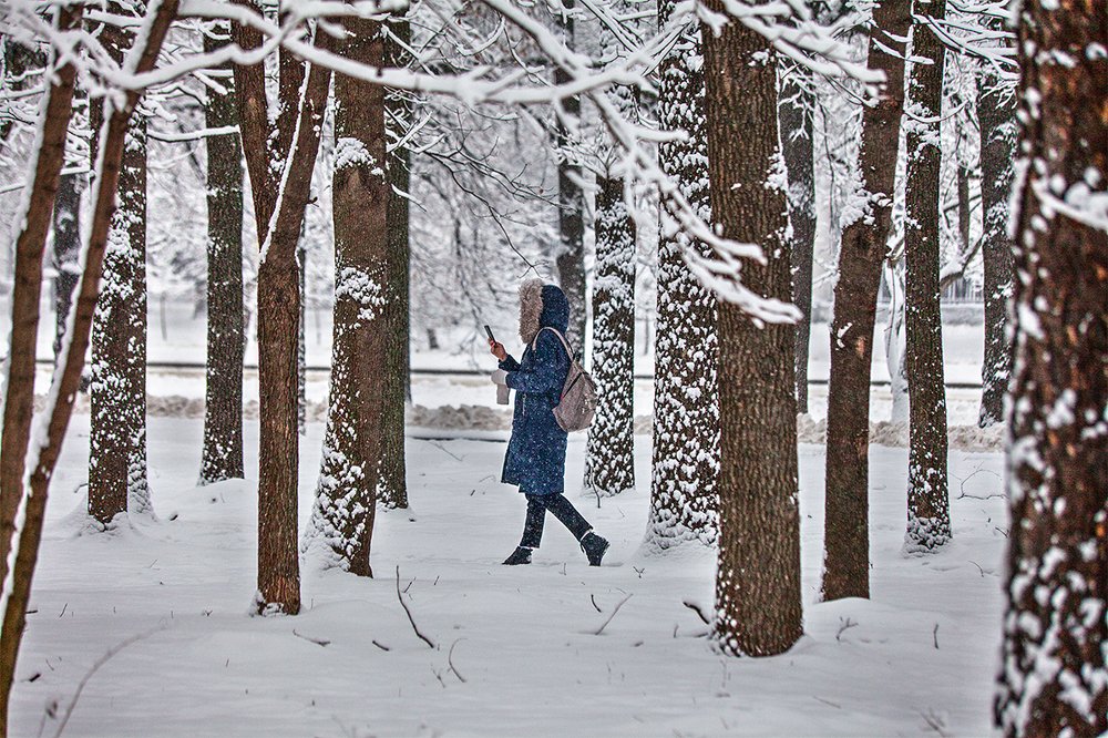 Снежный день