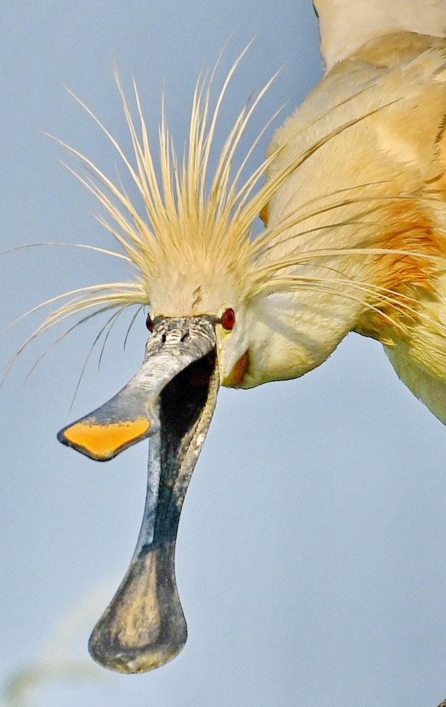 Photograph by Mihai Baciu