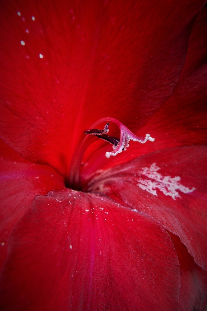 Фотография автора Виктор Конев