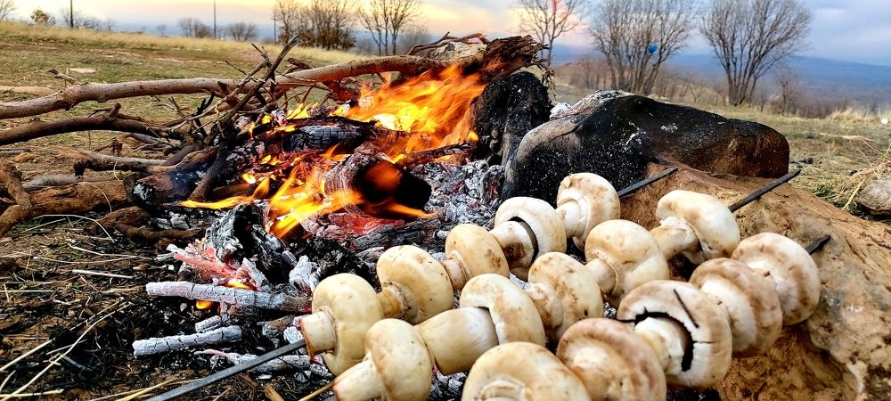 kurdistan