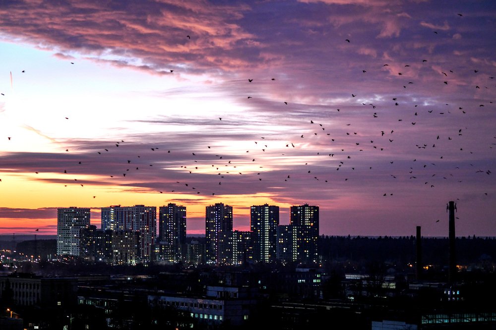Photograph by Антонина Васильева