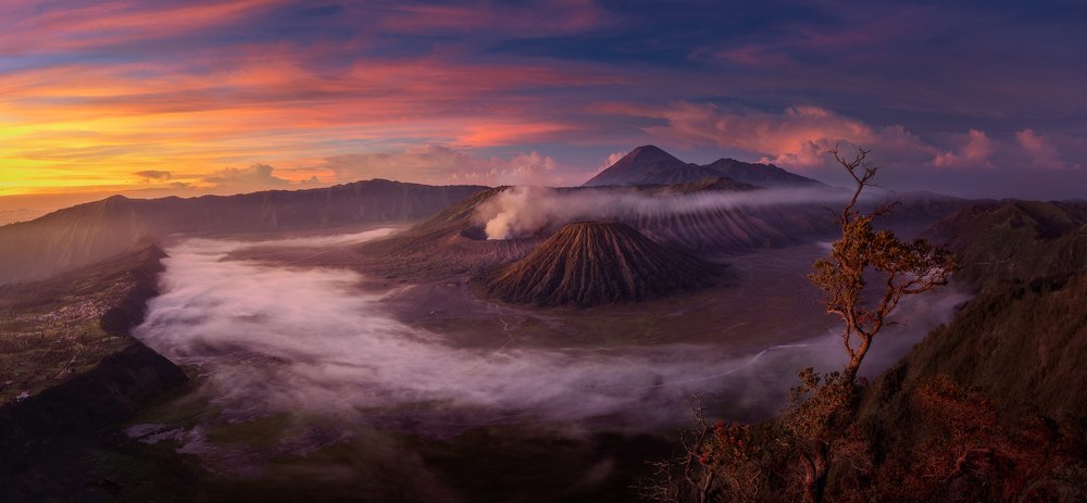 Photograph by WANG QIAN