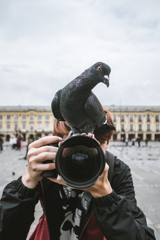 Photograph by David Orlando Rodríguez Díaz
