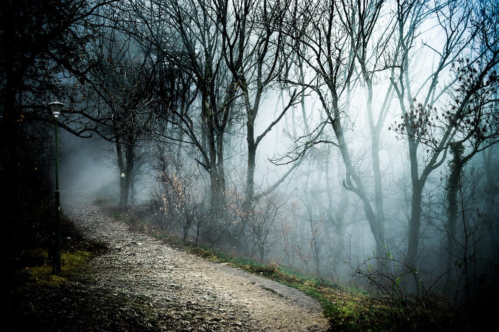 Photograph by Holden Perpelitz