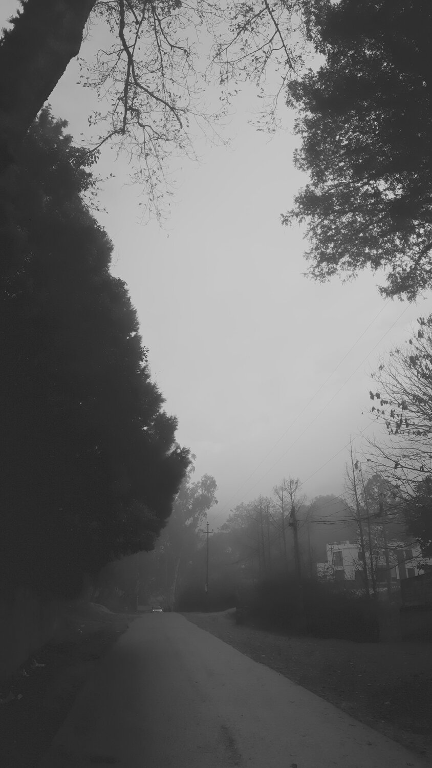 Photo #4173271