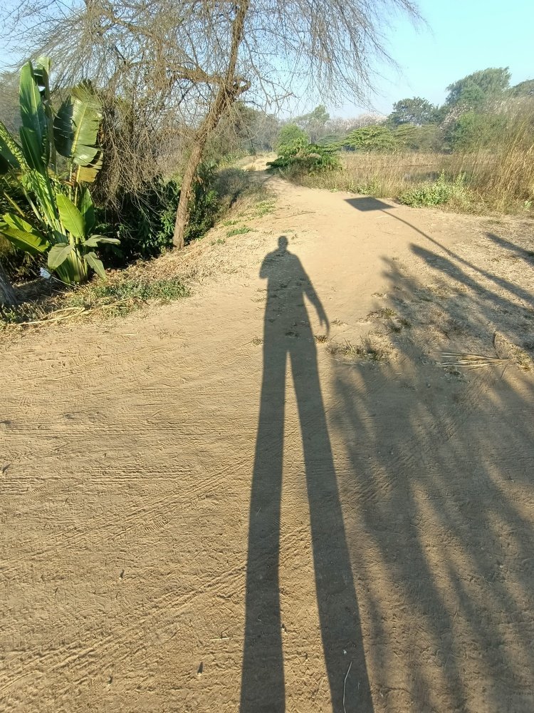 Photograph by HEMANT TUKARAM PATIL