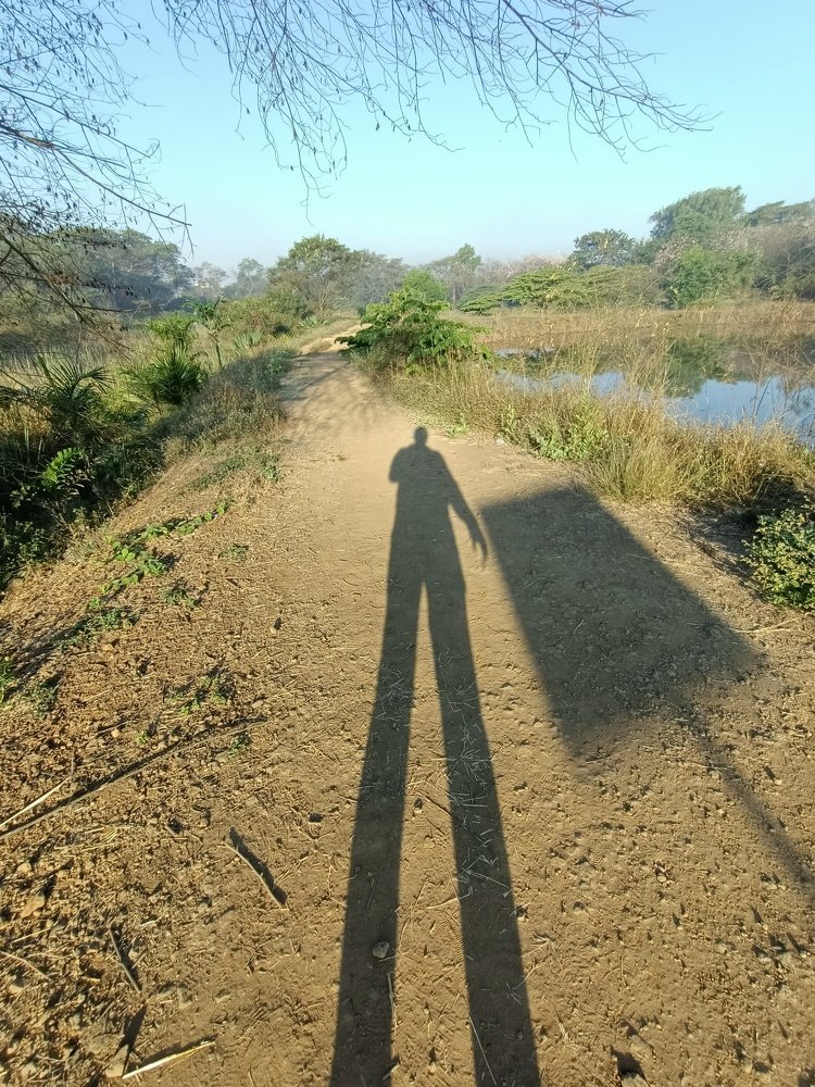 Photograph by HEMANT TUKARAM PATIL