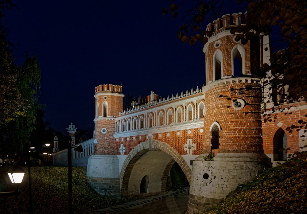 Figured Bridge. Moscow. Russia