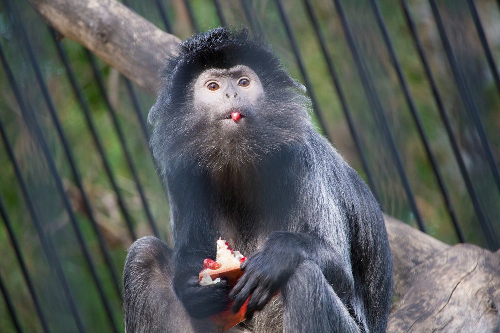 Photograph by Сергей Боравцов