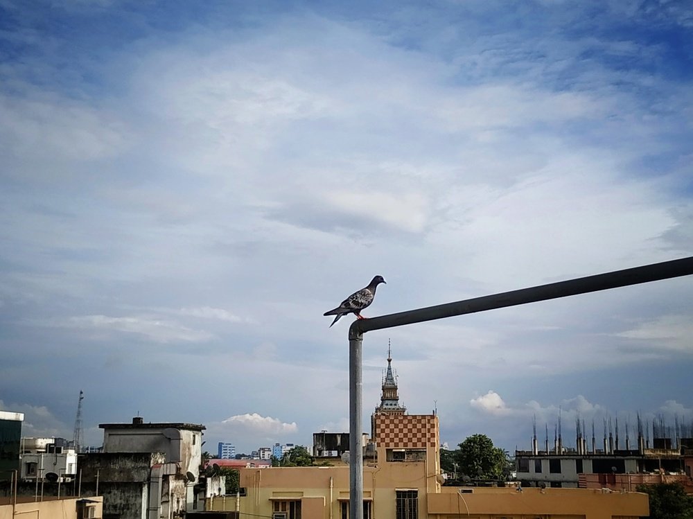 Фотография автора Ramprasad Das