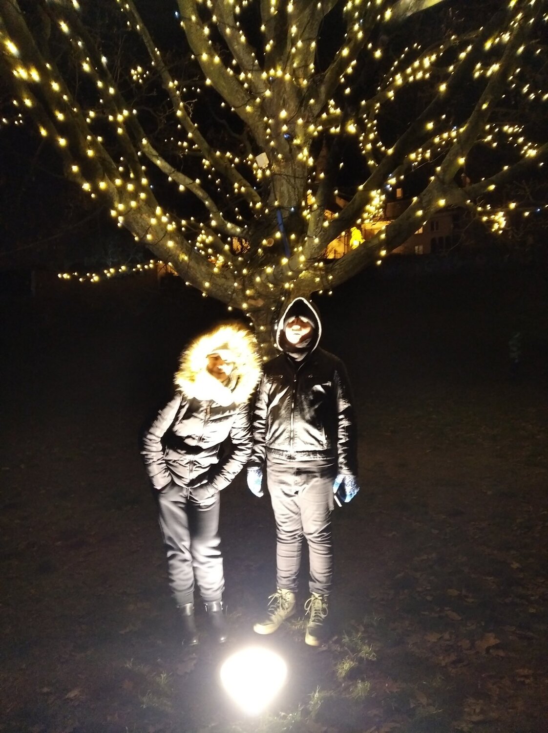 Photo #4173456
