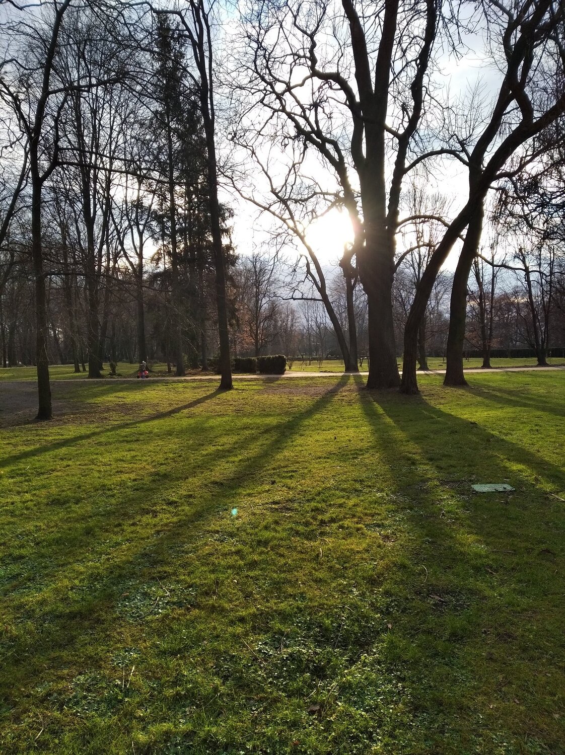 Photo #4173458