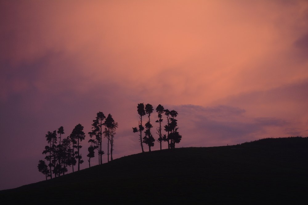 Photograph by Chirag Chordia