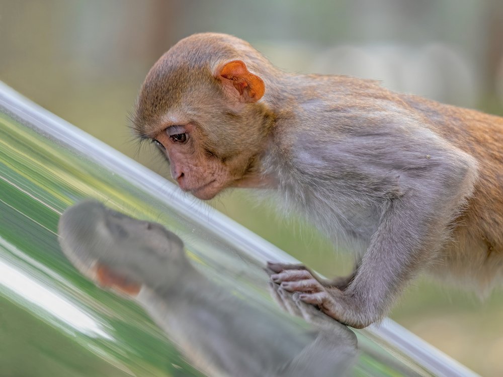 Photograph by Md. Ruhul Amin Farid